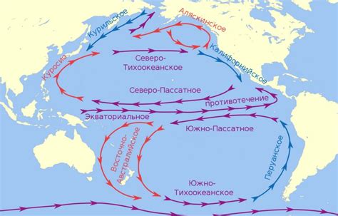 Состав воды в Тихом океане