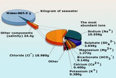 Состав морской воды