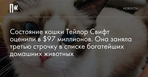 Состояние кошки