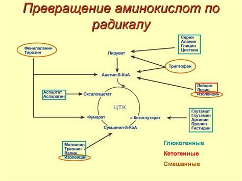 Состояния, требующие повышения уровня аминокислот