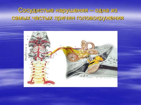 Сосудистые нарушения и головокружение