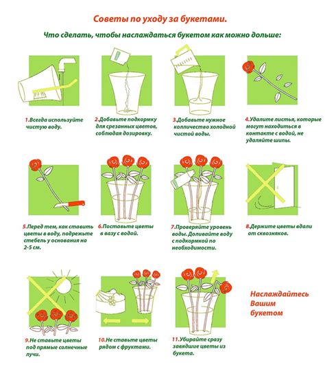 Сохранение и уход за пшеничным букетом