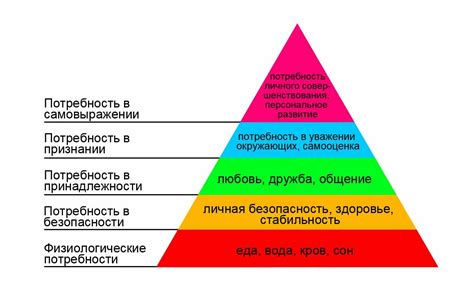 Социальная иерархия в кошачьей семье