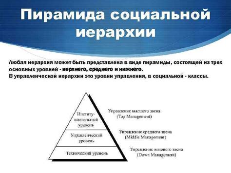 Социальная иерархия зебр: гарантия отсутствия нервного напряжения