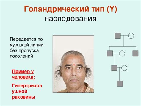 Социальные аспекты наследования по мужской линии