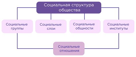 Социальные проекты и их вклад в развитие общества