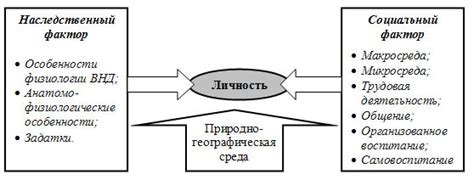 Социальные факторы развития сельской общины