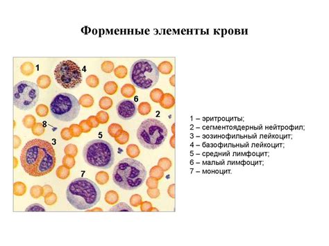 Сочетание крови с другими элементами рисунка