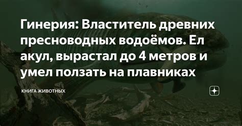 Специализация на плавниках