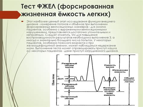 Специальные алгоритмы оценки фжел при поражении легких