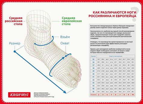 Специальные методы определения полноты ноги