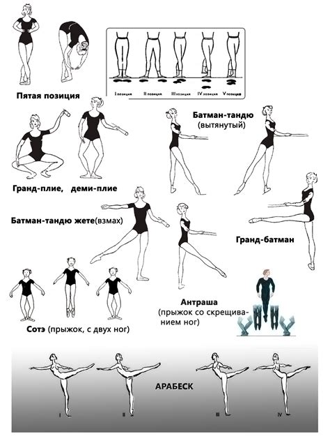 Специфика движений и позы балета