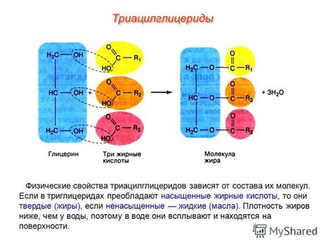 Специфические свойства молекул масла