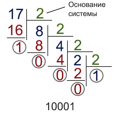 Список материалов, необходимых для конвертации числа в двоичную систему