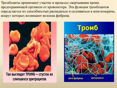 Спонтанное свертывание крови