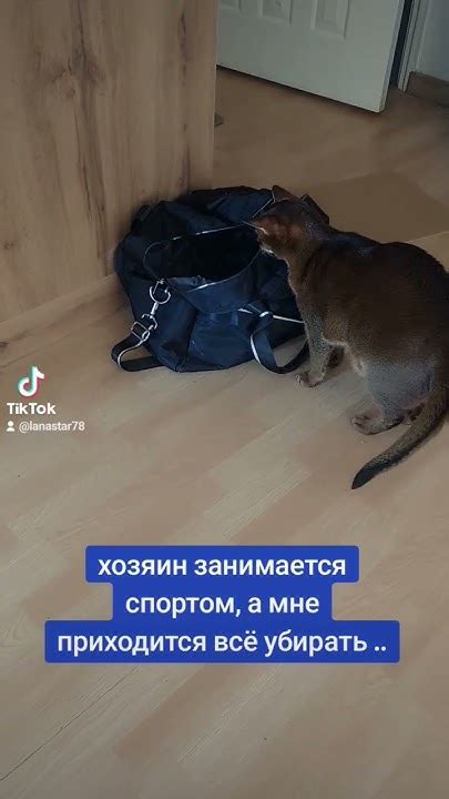 Спорт и запахи