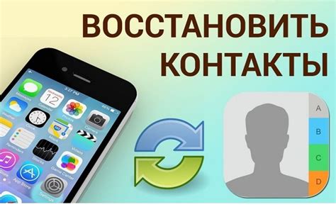 Способы восстановления контактов на Билайн