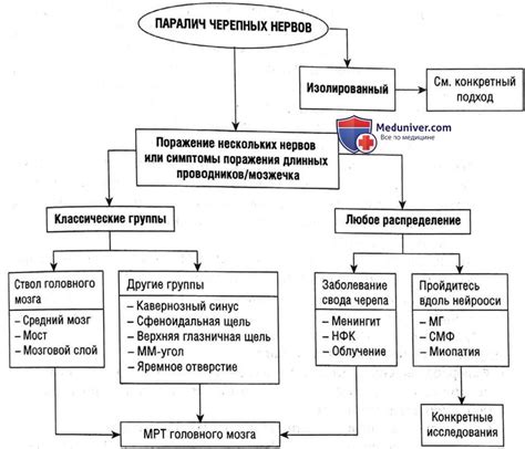 Способы диагностики паралича