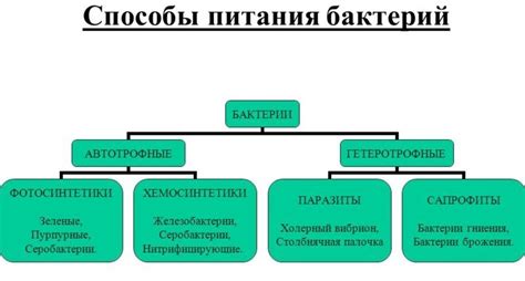 Способы дополнительного питания синичек говяжим жиром