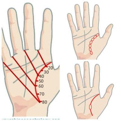 Способы определения продолжительности жизни по линиям на ладони: