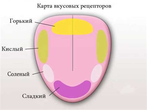 Способы очистки охлажденного языка для возвращения вкуса