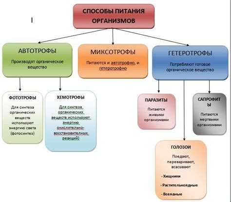 Способы питания