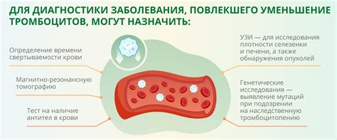 Способы повышения качества крови