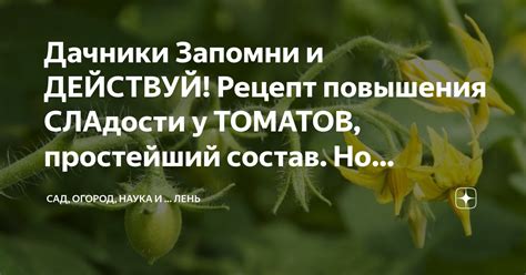 Способы повышения сладости инжира