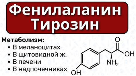 Способы повышения уровня тирозина при помощи добавок