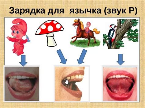 Способы поиска оригинальных звуков