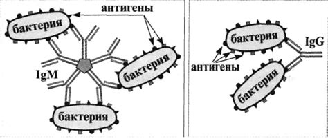 Способы предварительной агглютинации