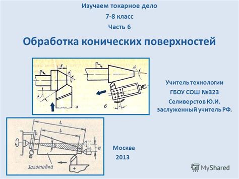 Способы предотвращения точения когтей