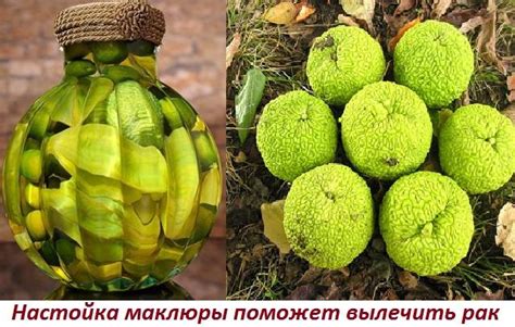 Способы приготовления яблока для младенца