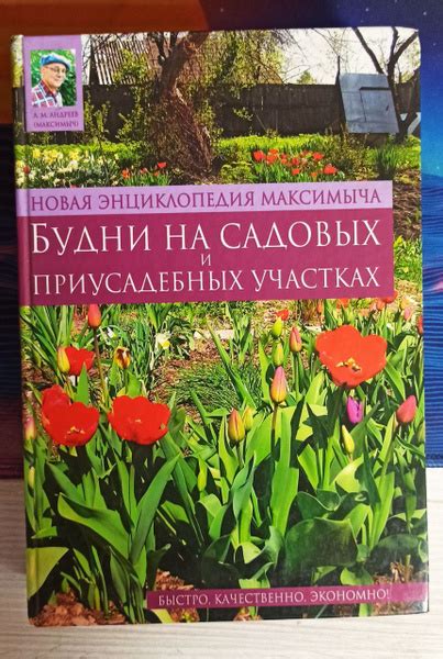 Способы применения гусиного помета на приусадебных участках