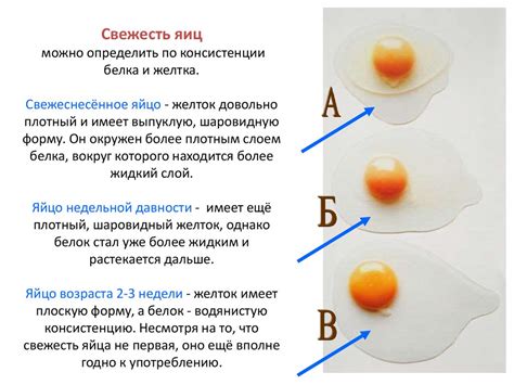 Способы проверки свежести яиц