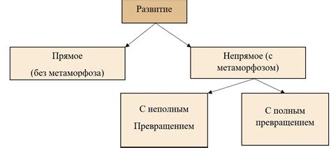 Способы развития животных мышц