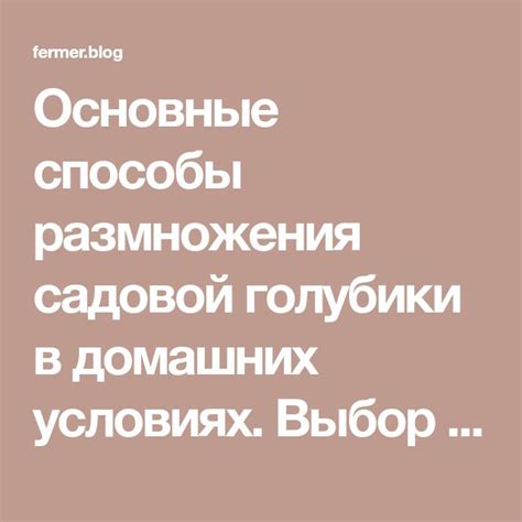 Способы размножения примулы и выбор оптимального метода