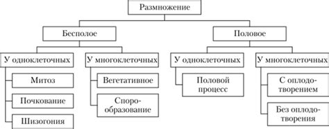 Способы размножения у лары обезьяны