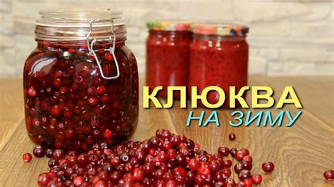 Способы сохранения клюквы на зиму