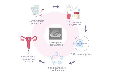 Способы стимуляции оплодотворения