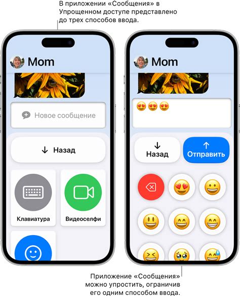 Способы удаления эмодзи на iPhone