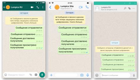 Способы узнать, прочитано ли ваше сообщение в WhatsApp: