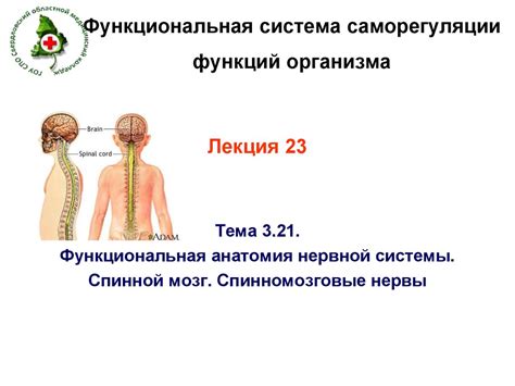 Способ саморегуляции нервной системы