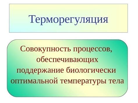 Способ №2: Поддержание оптимальной температуры