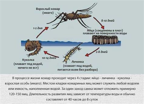 Способ 3: Использование специальных препаратов