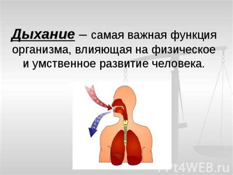 Способ 3 - Правильное дыхание и питание для улучшения голоса