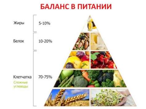 Способ 6: Баланс питания и правильное питание