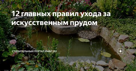 Справочник профессиональных советов для выполнения регулярного ухода за прудом