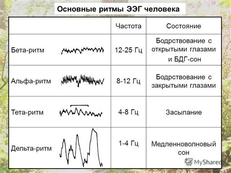 Сравнение ЭЭГ при ОРВИ и здоровом состоянии