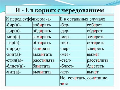 Сравнение правописания слова "студент" с другими словами